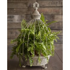 Ornate Grey Cloche Planters Pair Image